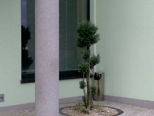 Zdjęcie z galerii